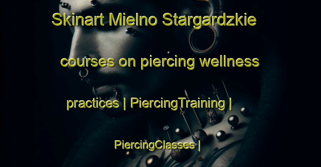 Skinart Mielno Stargardzkie courses on piercing wellness practices | PiercingTraining | PiercingClasses | SkinartTraining-Poland
